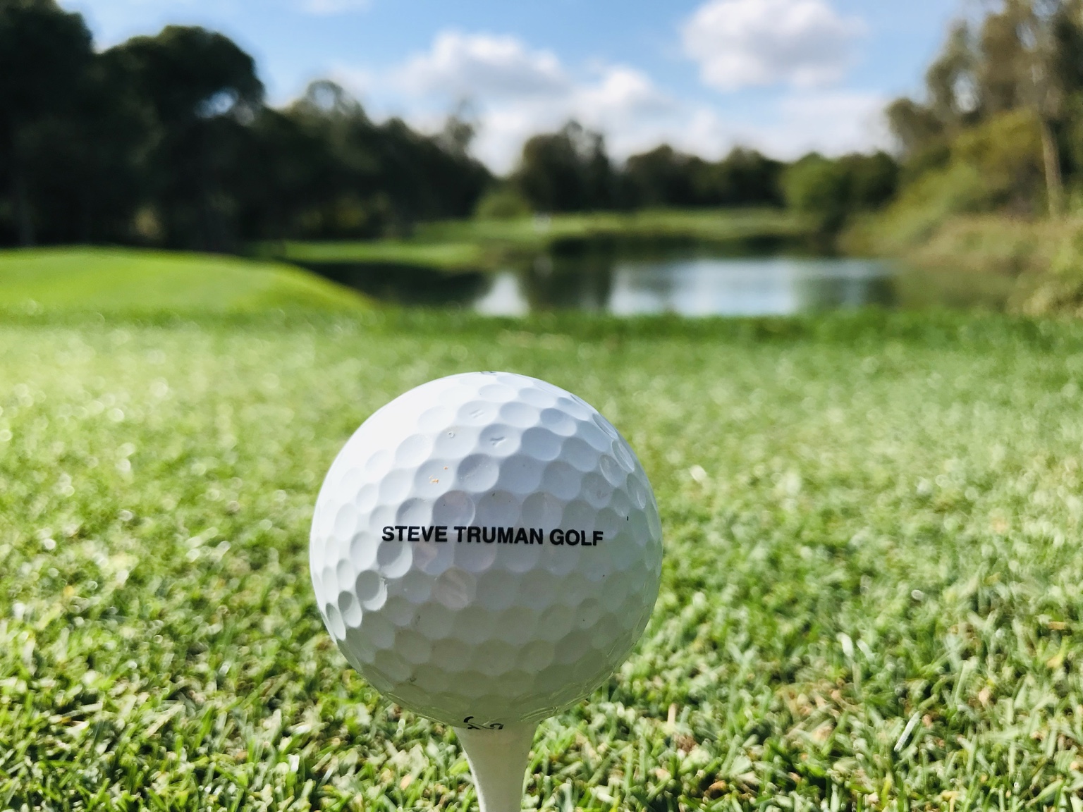 Steve Truman Golf branded ball on a tee